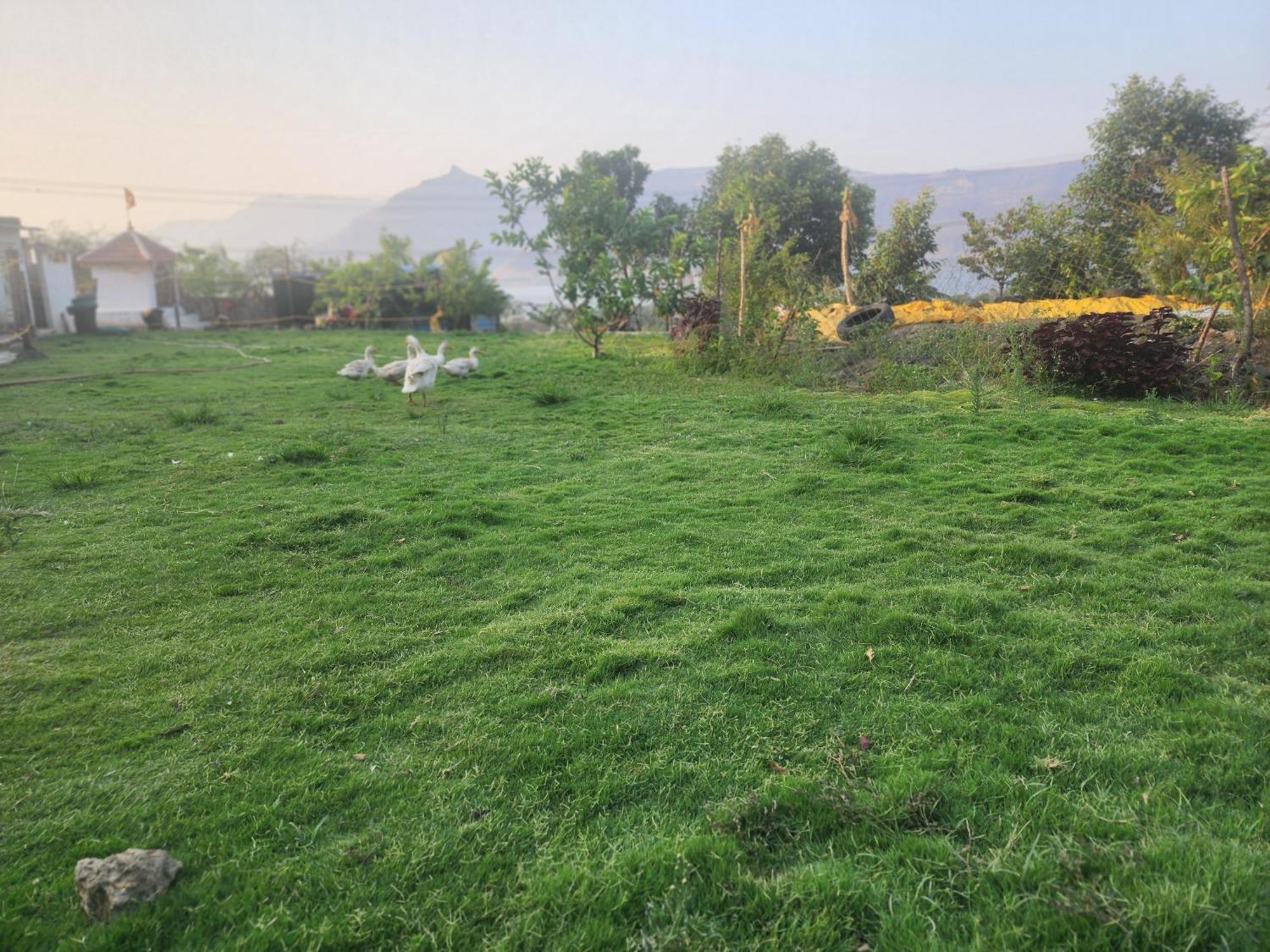 Jandyal Farm House 말셰즈 가트 외부 사진